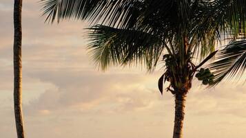 Uitzicht op strand/zee