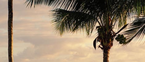 Beach/ocean view