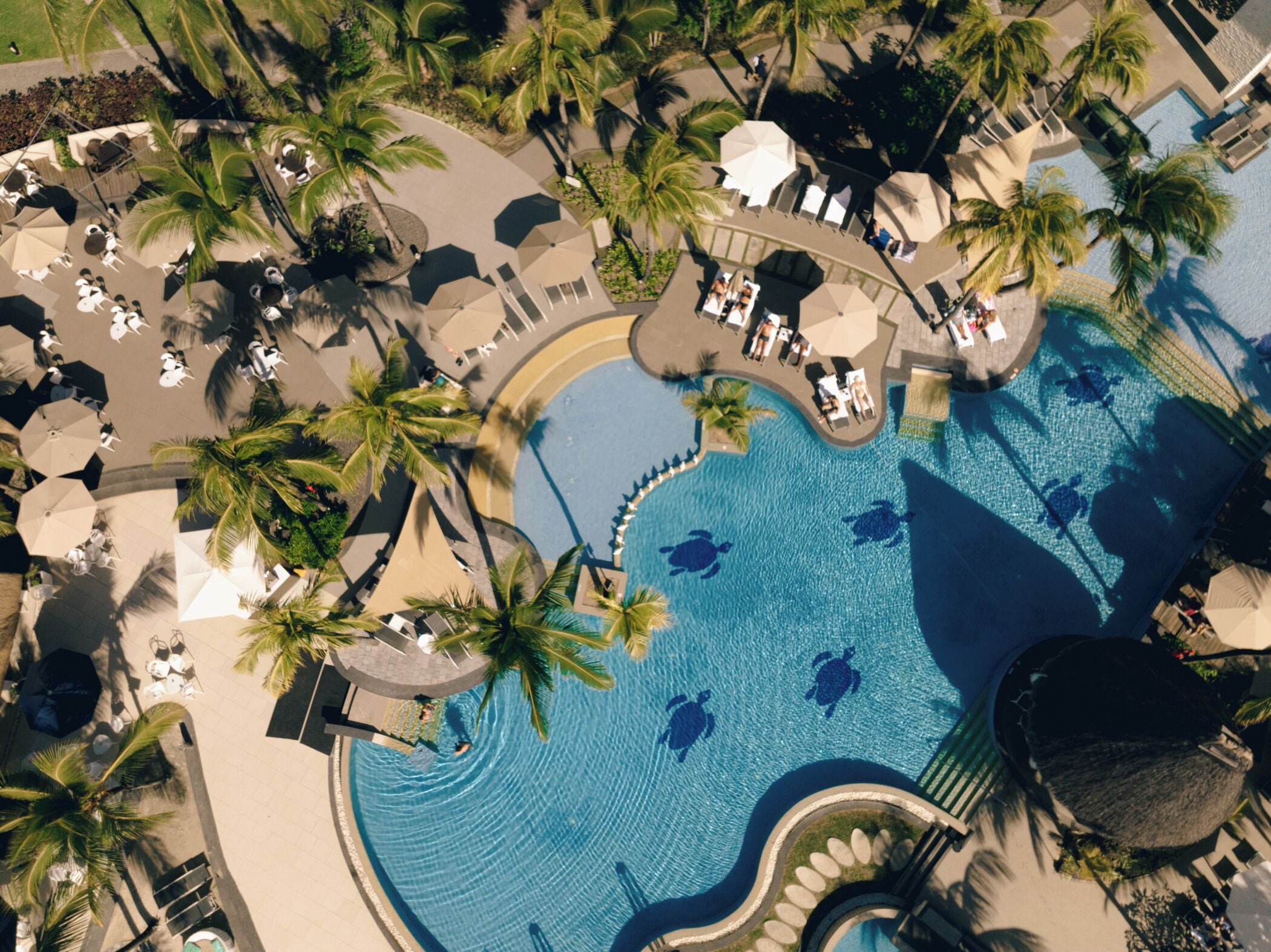 An aerial view of a resort with a central swimming pool, palm trees, sun loungers, and umbrellas.
