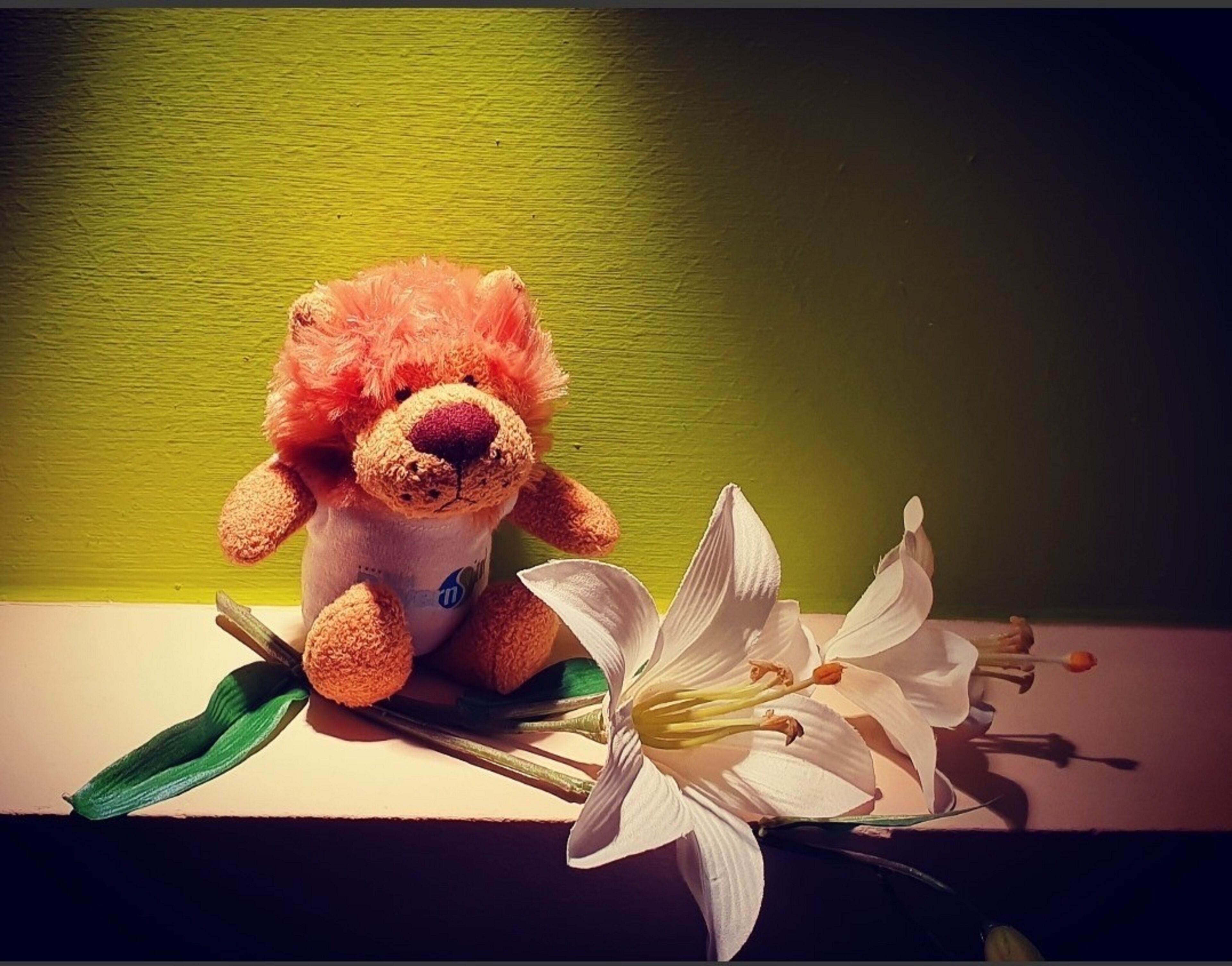 children’s activities