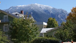 A residential area with houses, trees, and a snow-capped mountain in the background. - Hotel Bayern Vital (Bad Reichenhall)