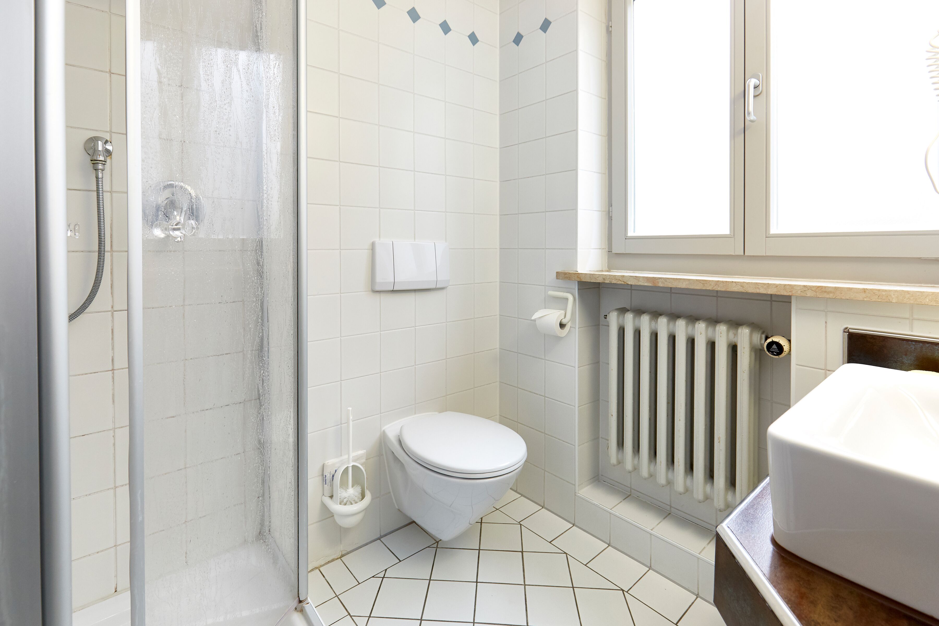 A bathroom with a shower, toilet, and radiator.