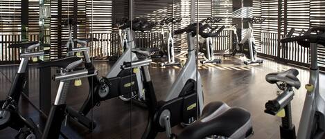 A gym with multiple stationary bikes and exercise equipment, arranged in rows.