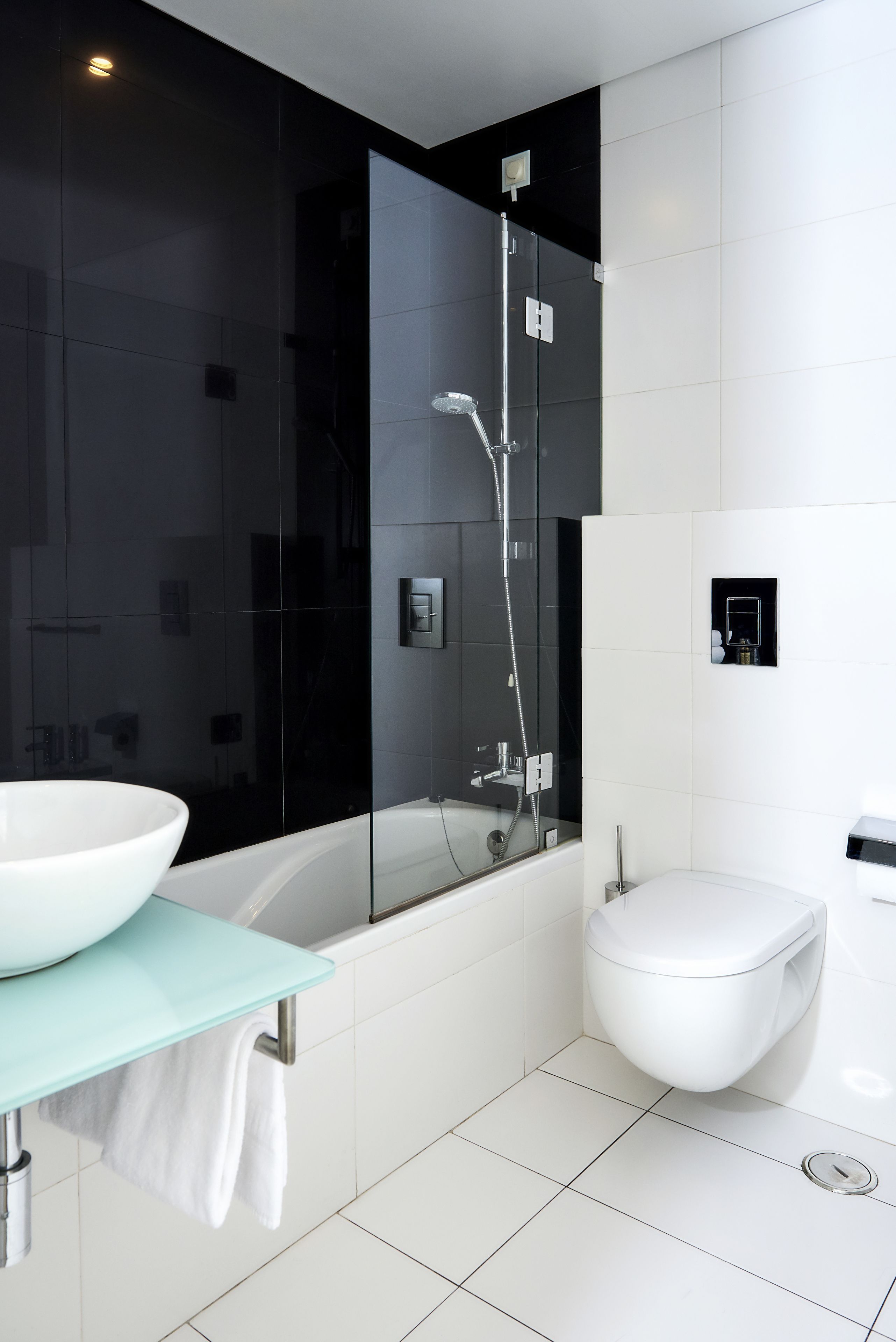 combined shower/bathtub, free toiletries, hair dryer, towels