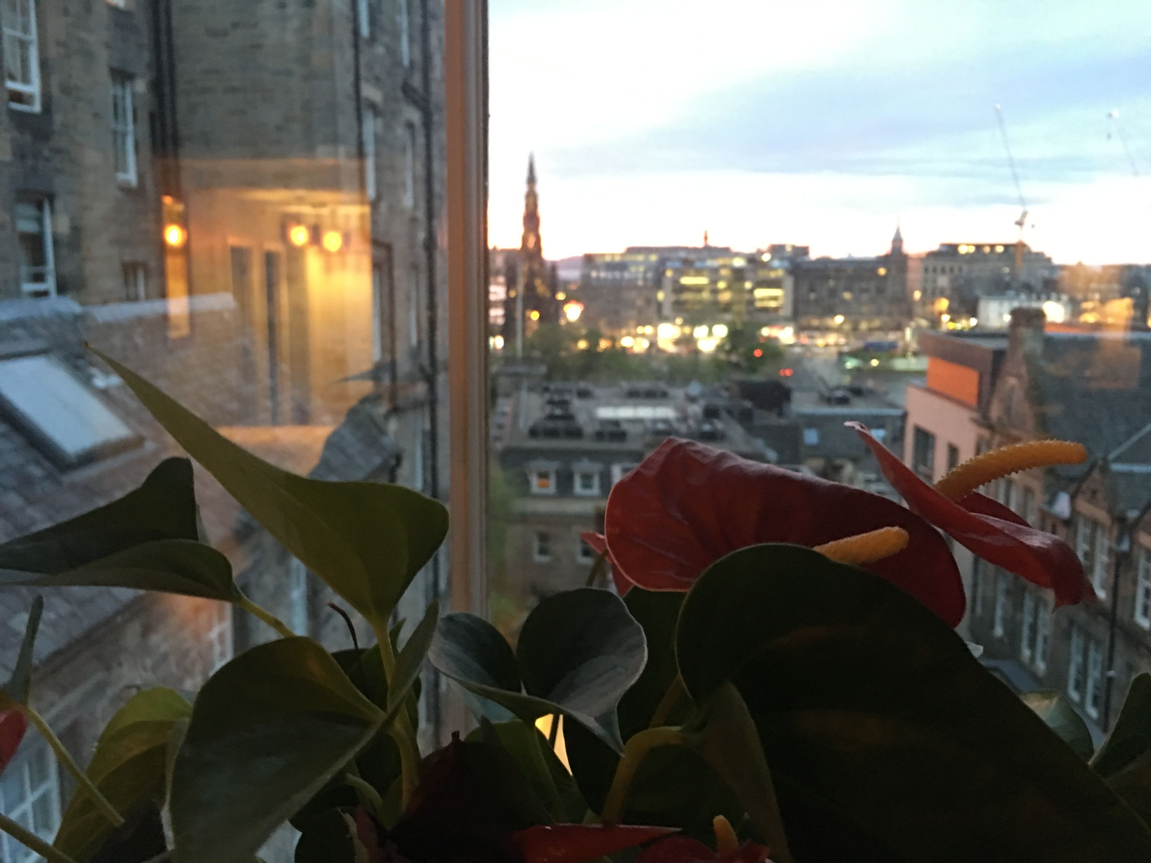 Utsikt fra rommet