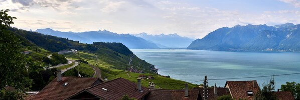 Vista panorámica de una zona montañosa con viñedos en terrazas, un lago y un pequeño pueblo con arquitectura tradicional.