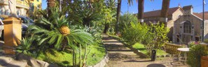 A pathway lined with palm trees and potted plants, leading to a building with a clock tower.