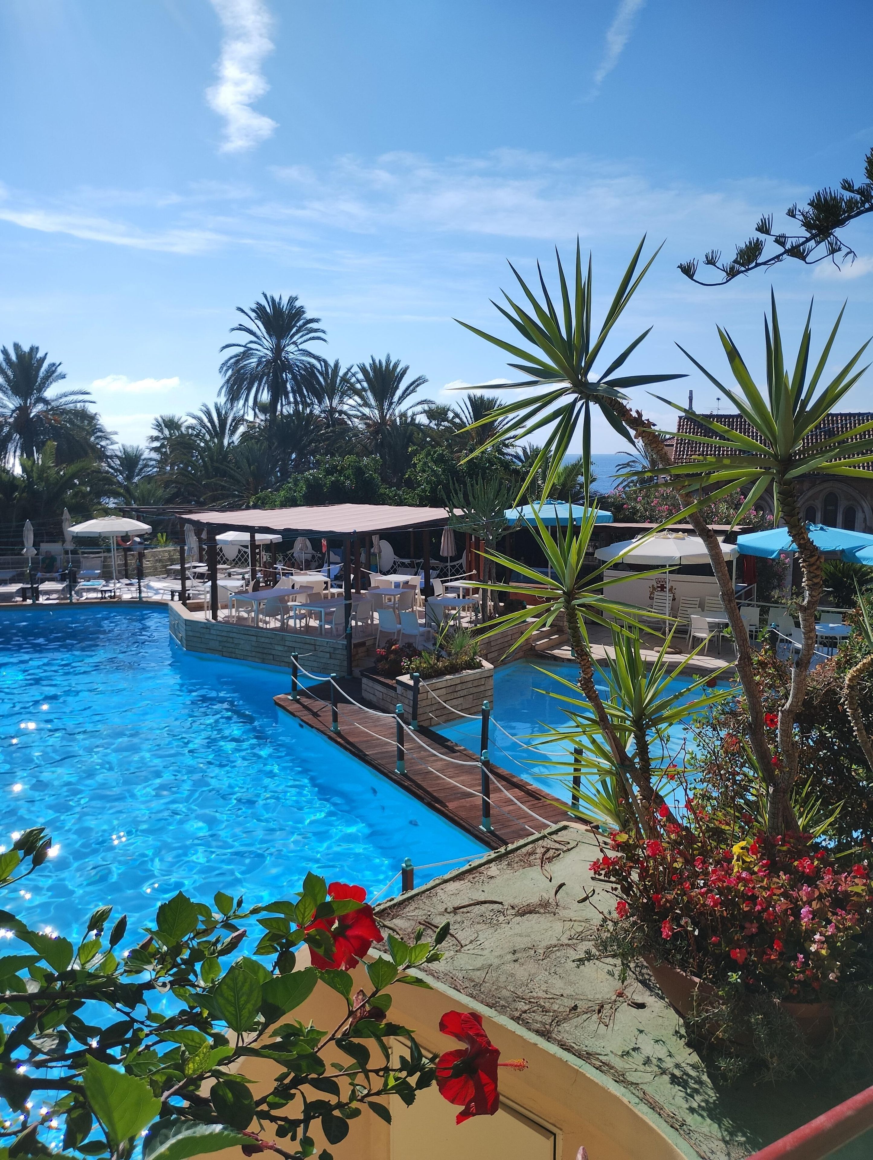 Une piscine dotée d’une terrasse en bois et de chaises longues, entourée de palmiers et de plantes en pot.