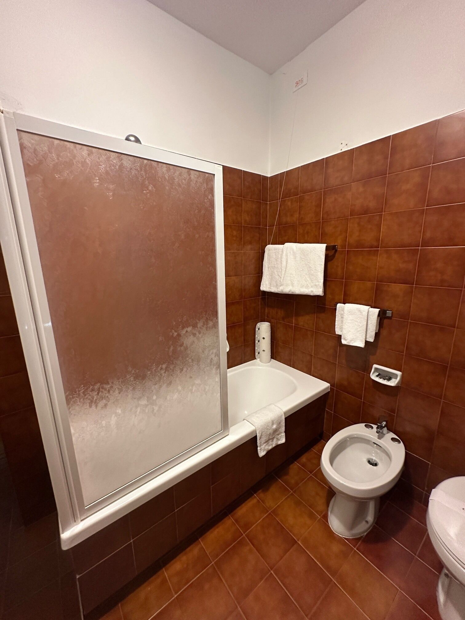 A bathroom with a shower, a bidet, and a toilet.