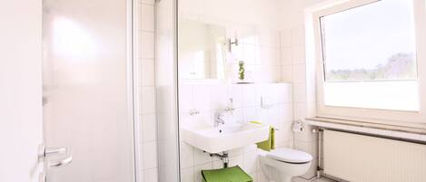 A modern bathroom with a glass shower enclosure, a white sink, and a toilet.