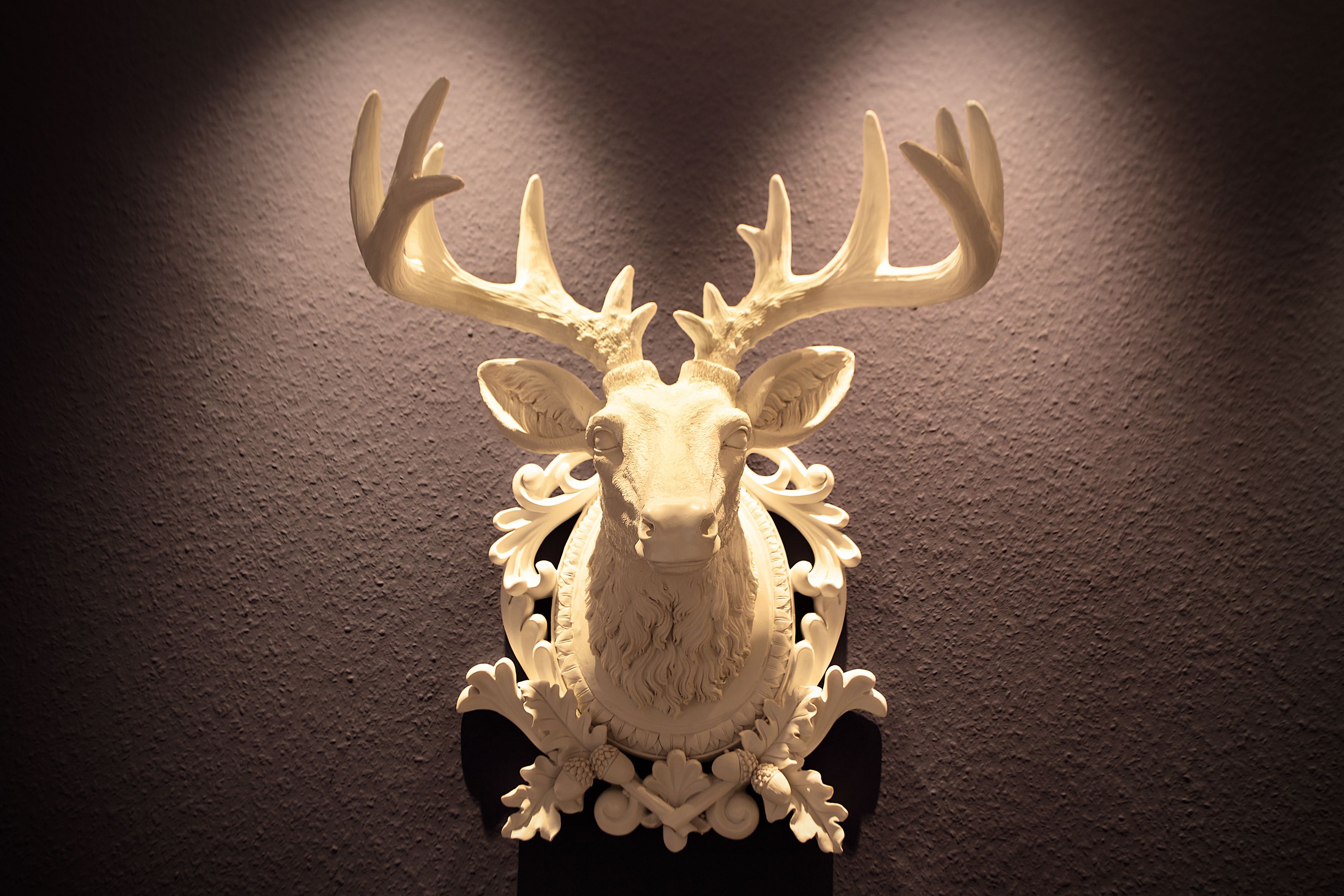 A deer head mounted on a wall.