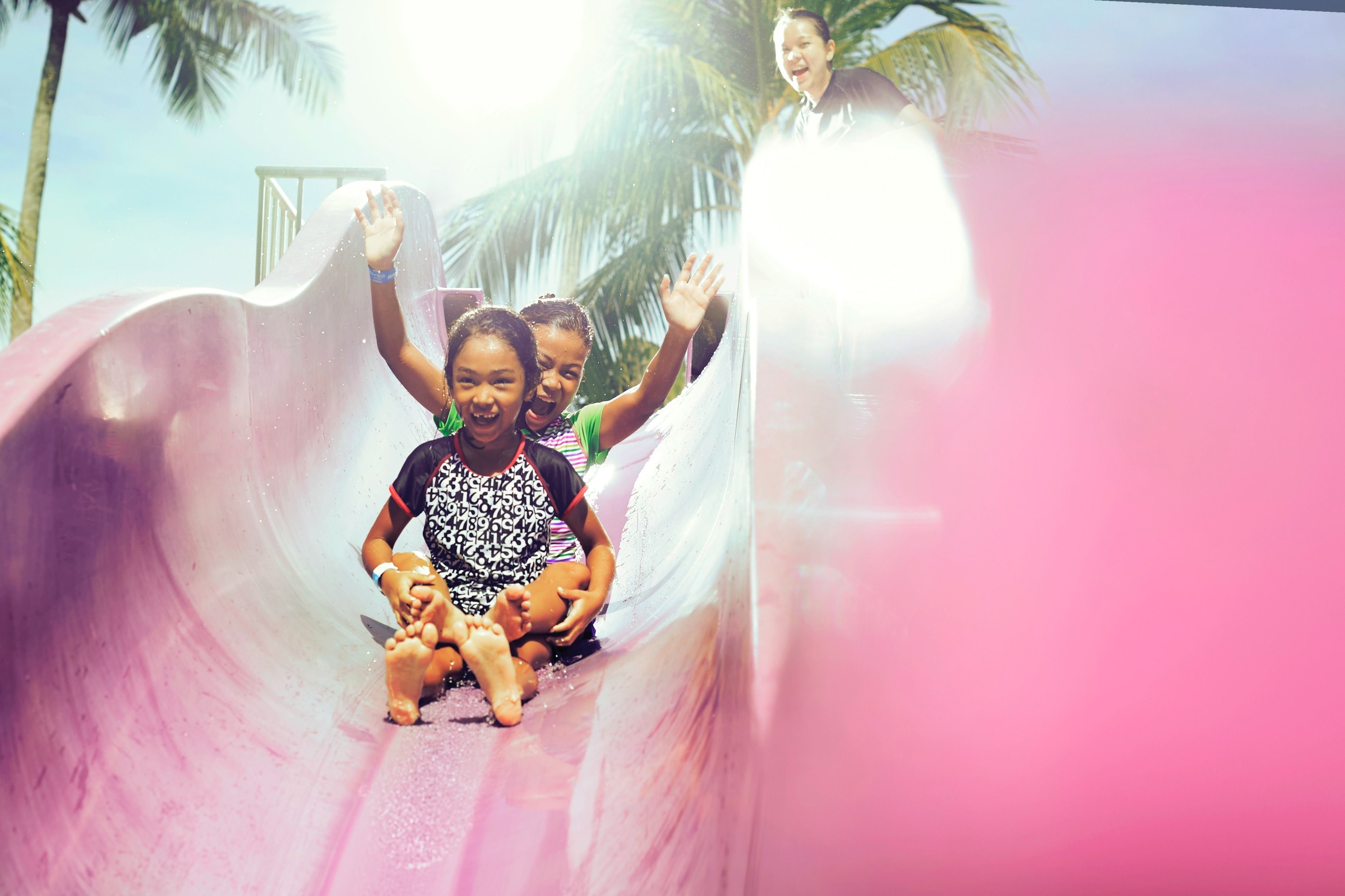 A group of people sliding down a pink slide with a palm tree in the background.