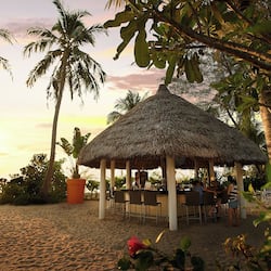 Beach bar