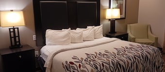 Red Roof Inn & Suites Longview
