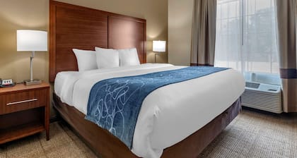 Comfort Inn & Suites Paris