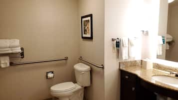 A bathroom with a toilet, handrails, a sink, and a mirror.