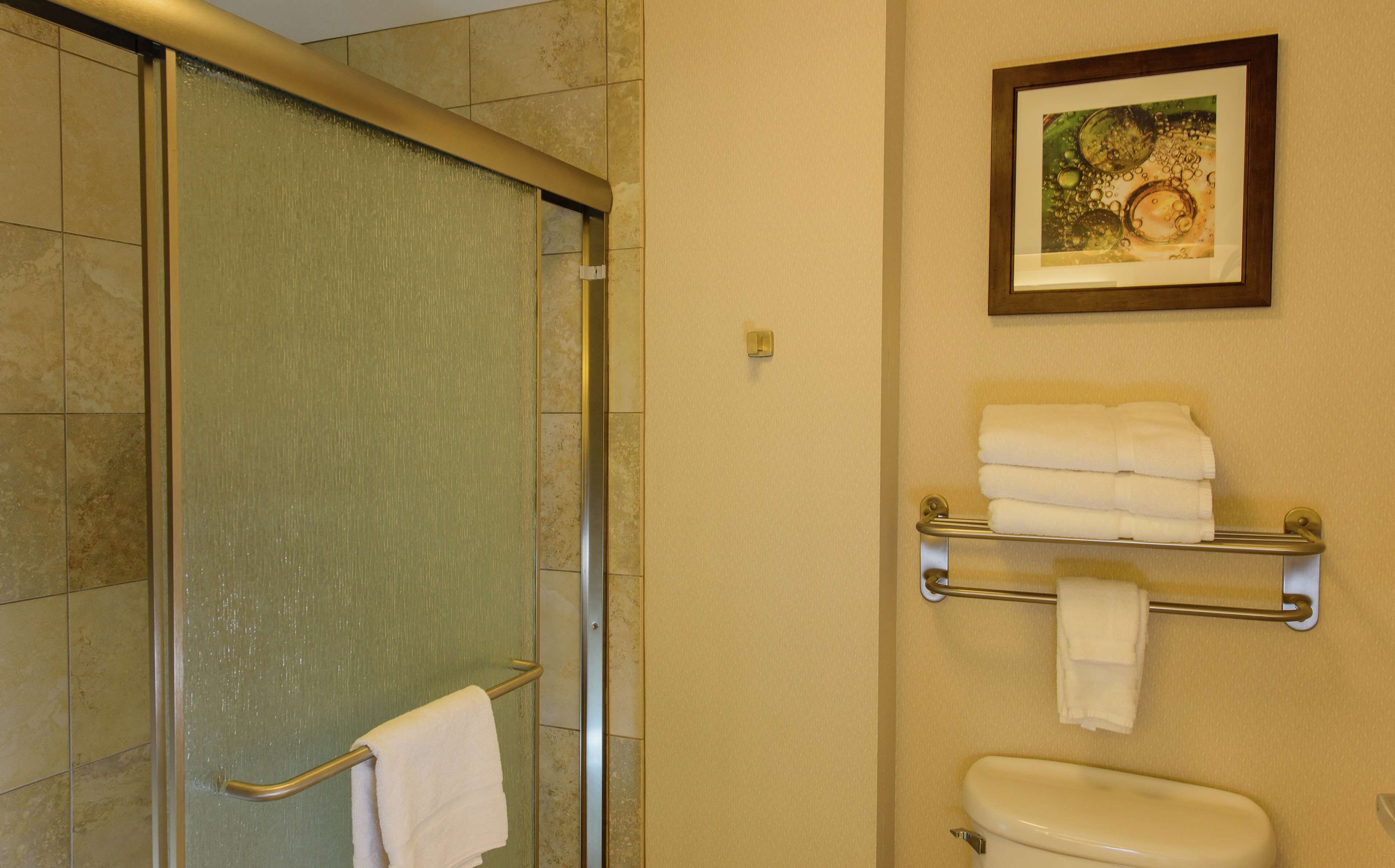 A bathroom with a glass shower door, a toilet, and a towel rack with folded towels.