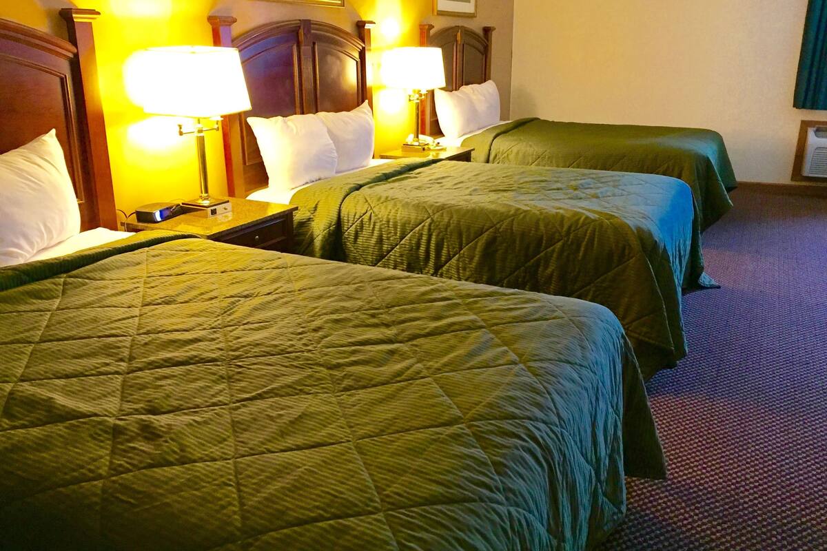 Quarto de hotel com três camas de solteiro, cada uma com colcha verde e almofadas brancas. Há duas luminárias de cabeceira em cada cama.