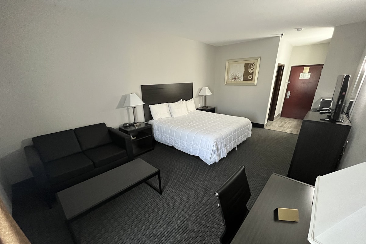 A hotel room with a bed, a sofa, a desk, a chair, a nightstand, a lamp, a picture on the wall, and a door.