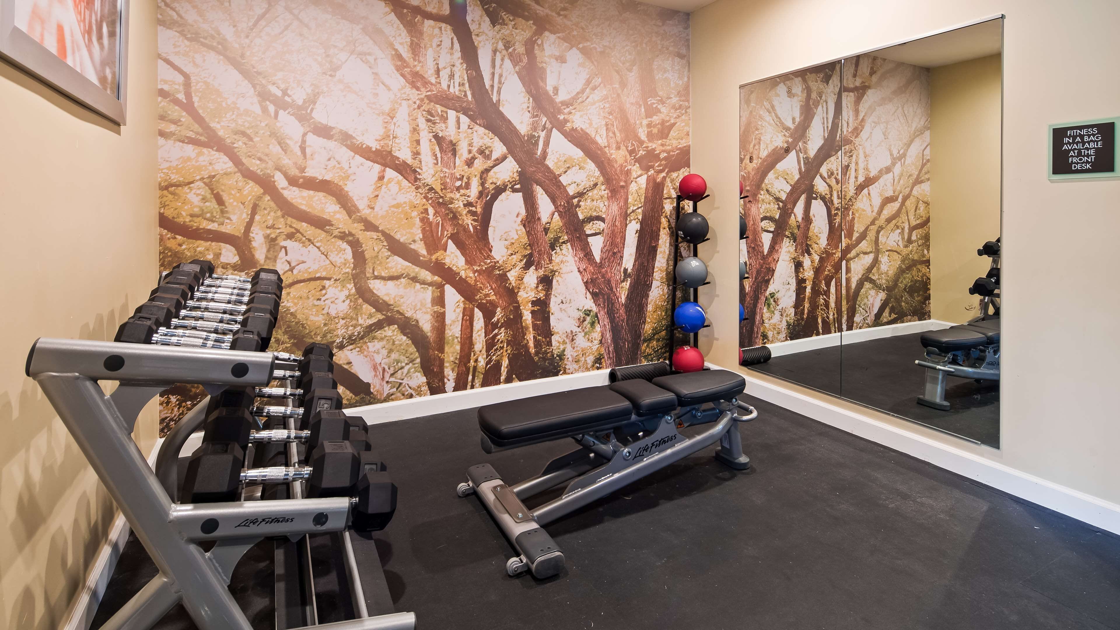 Sala de fitness