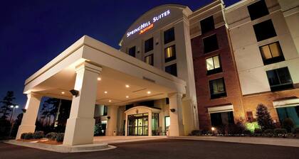 SpringHill Suites by Marriott Athens West