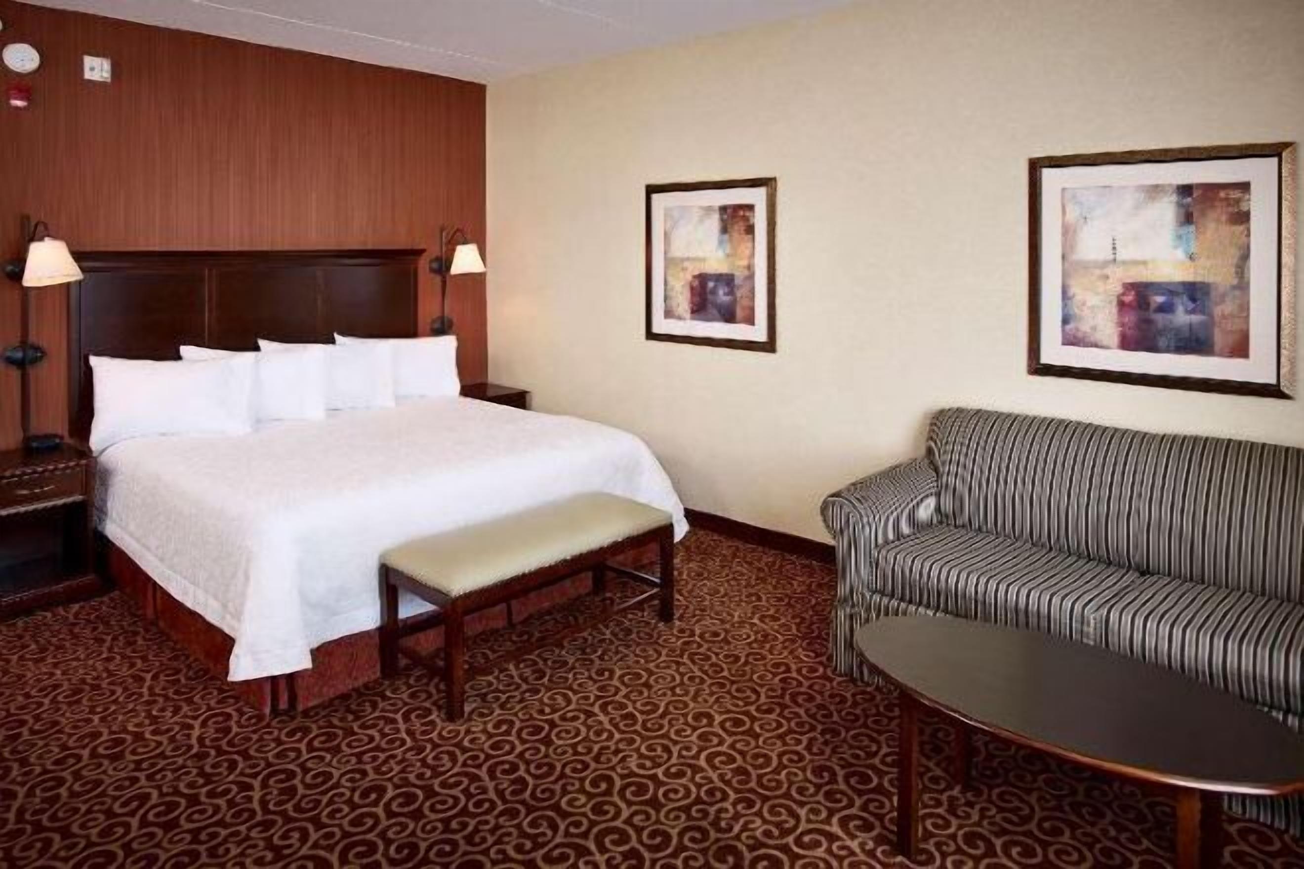 Cortinas blackout, tabla de planchar con plancha y cunas gratuitas 