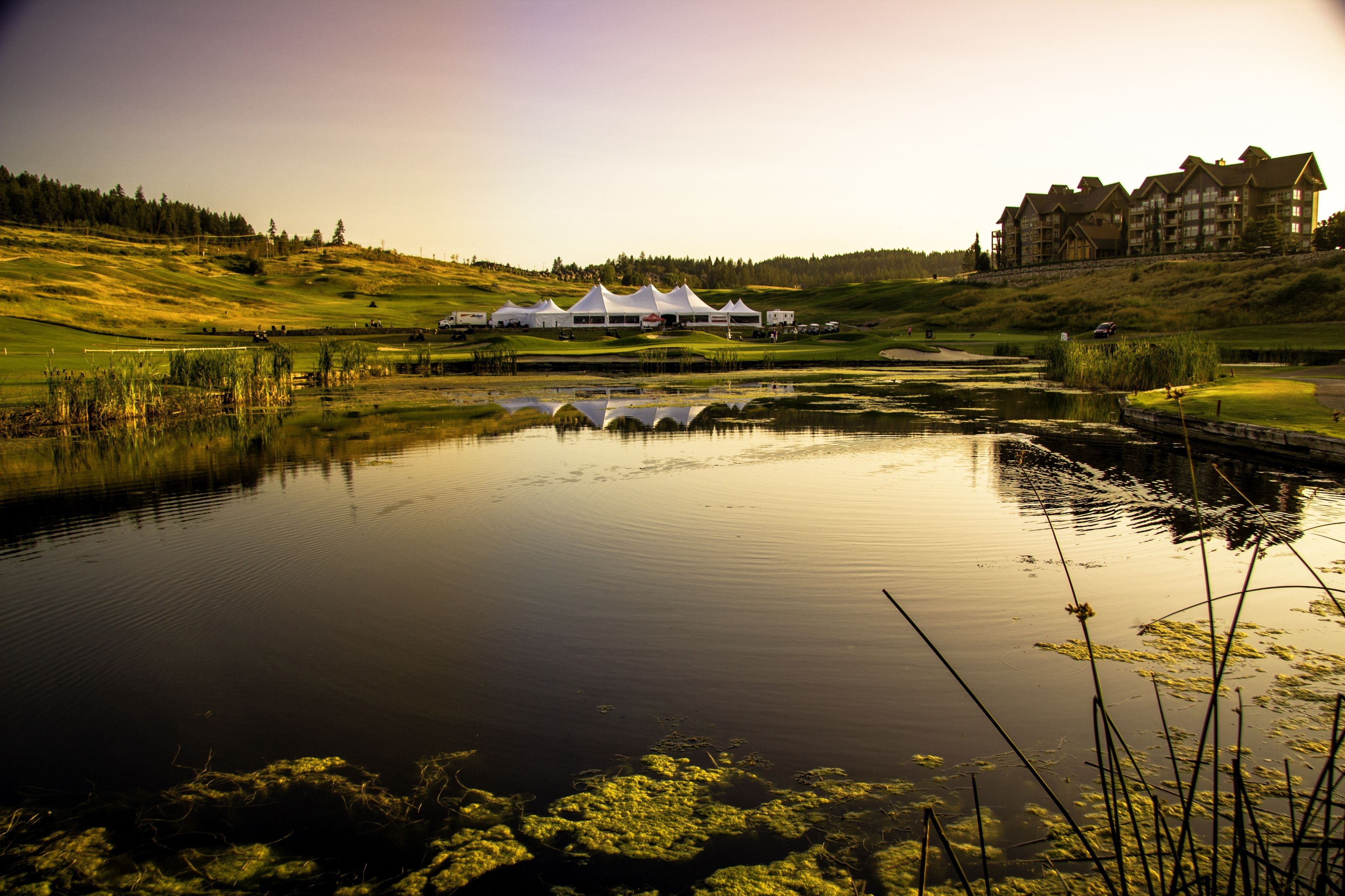 A lakeside view with a white tented structure and a multi-story building in the background.