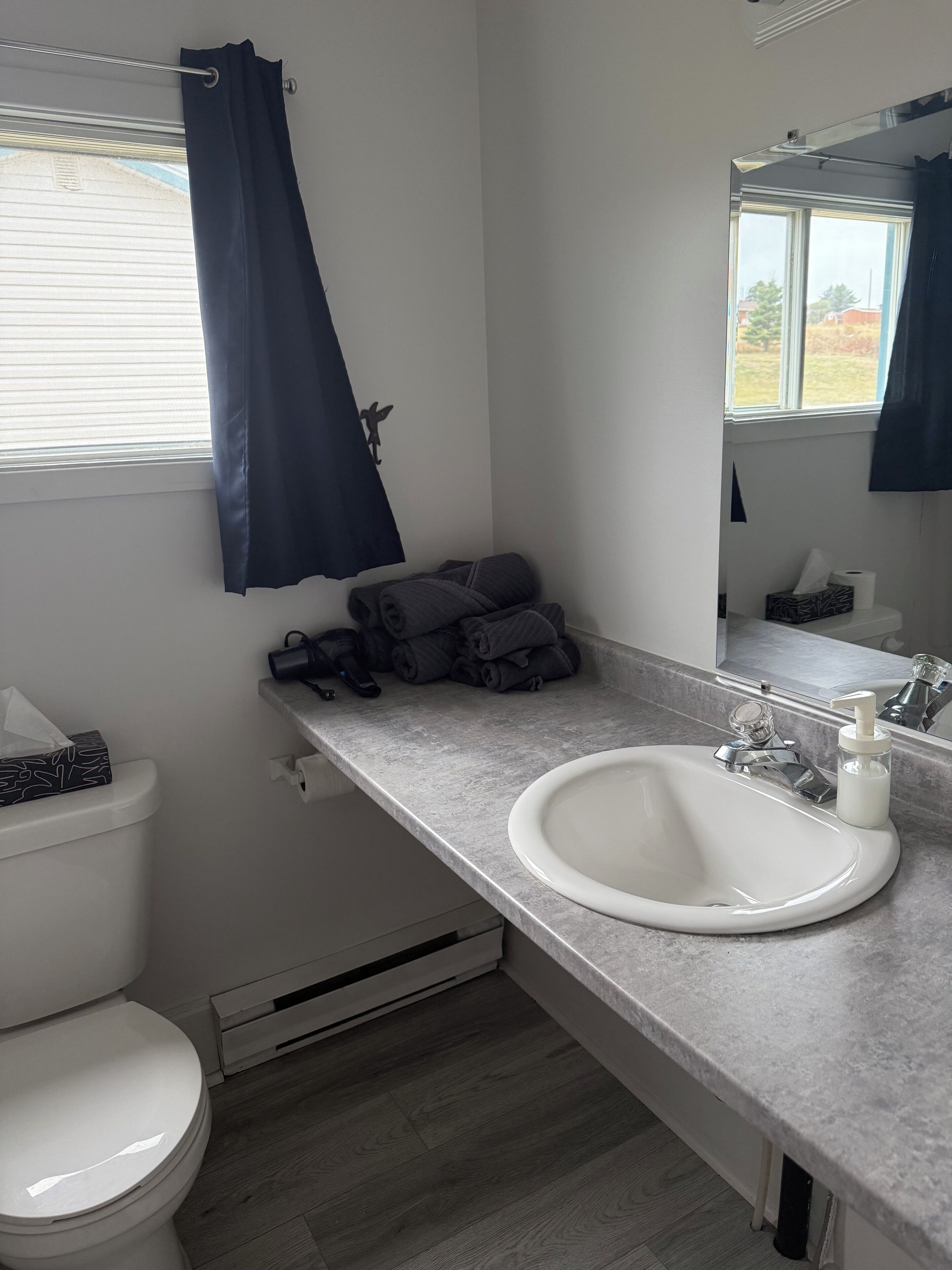 Un bagno con lavandino bianco, un water, un porta asciugamani e una finestra con tenda.