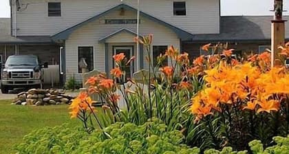 Cape View Motel And Cottages