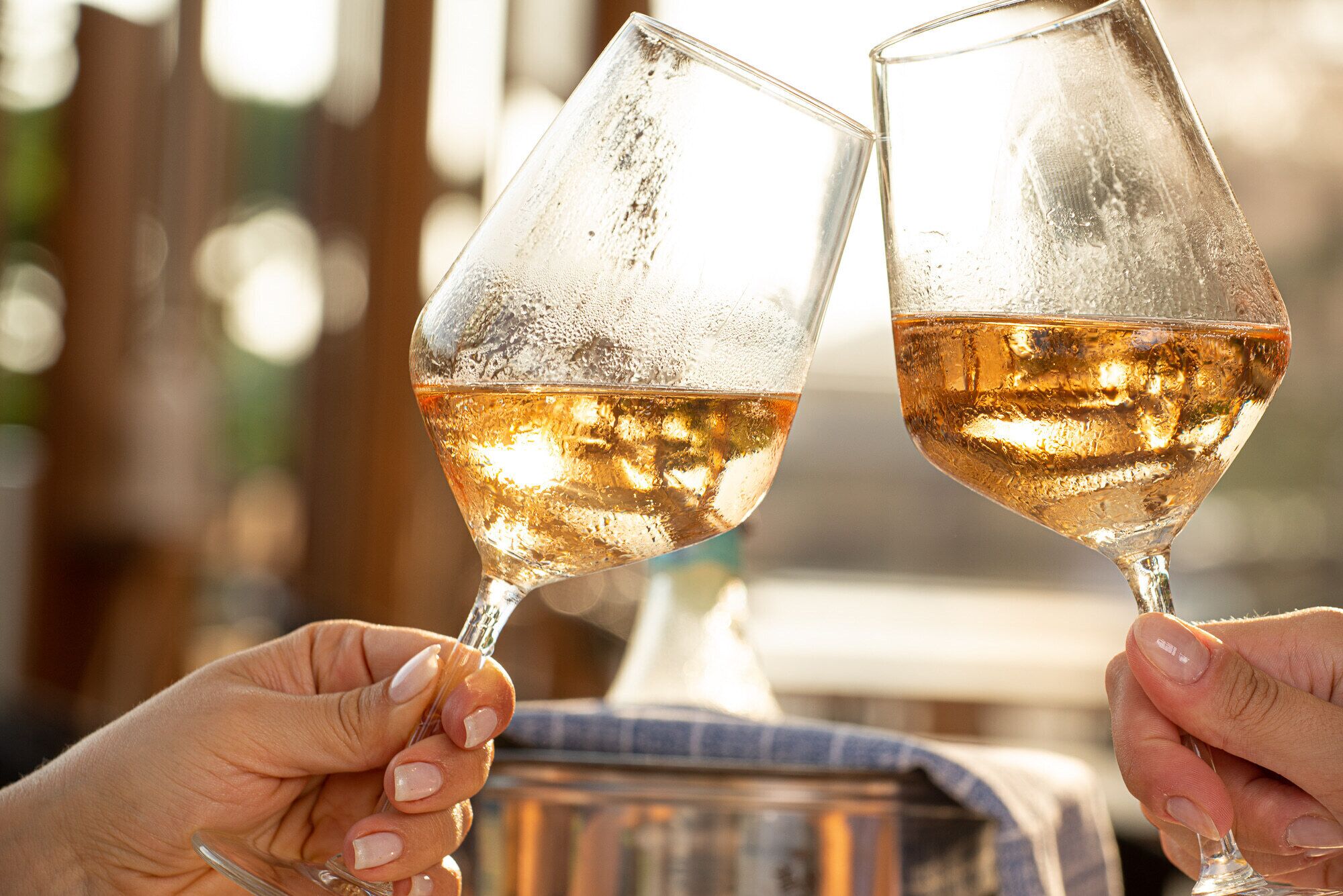 Two people holding wine glasses filled with a golden liquid, likely wine, in a setting with a blurred background.