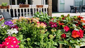 Un patio agrémenté de diverses fleurs aux couleurs vives au premier plan, un espace détente avec des chaises, et un bâtiment sur lequel on peut lire l’inscription « El Laika ».