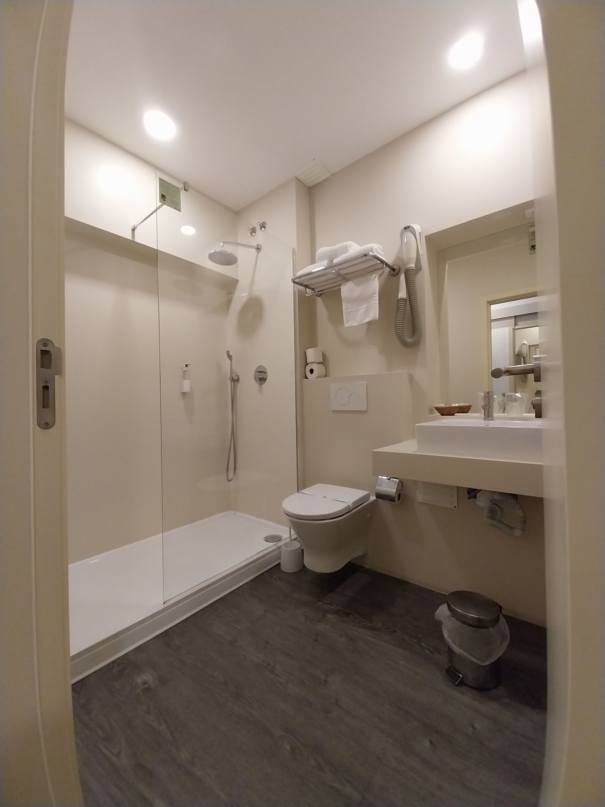 A modern bathroom with a glass-enclosed shower, a toilet, a sink, and a mirror.