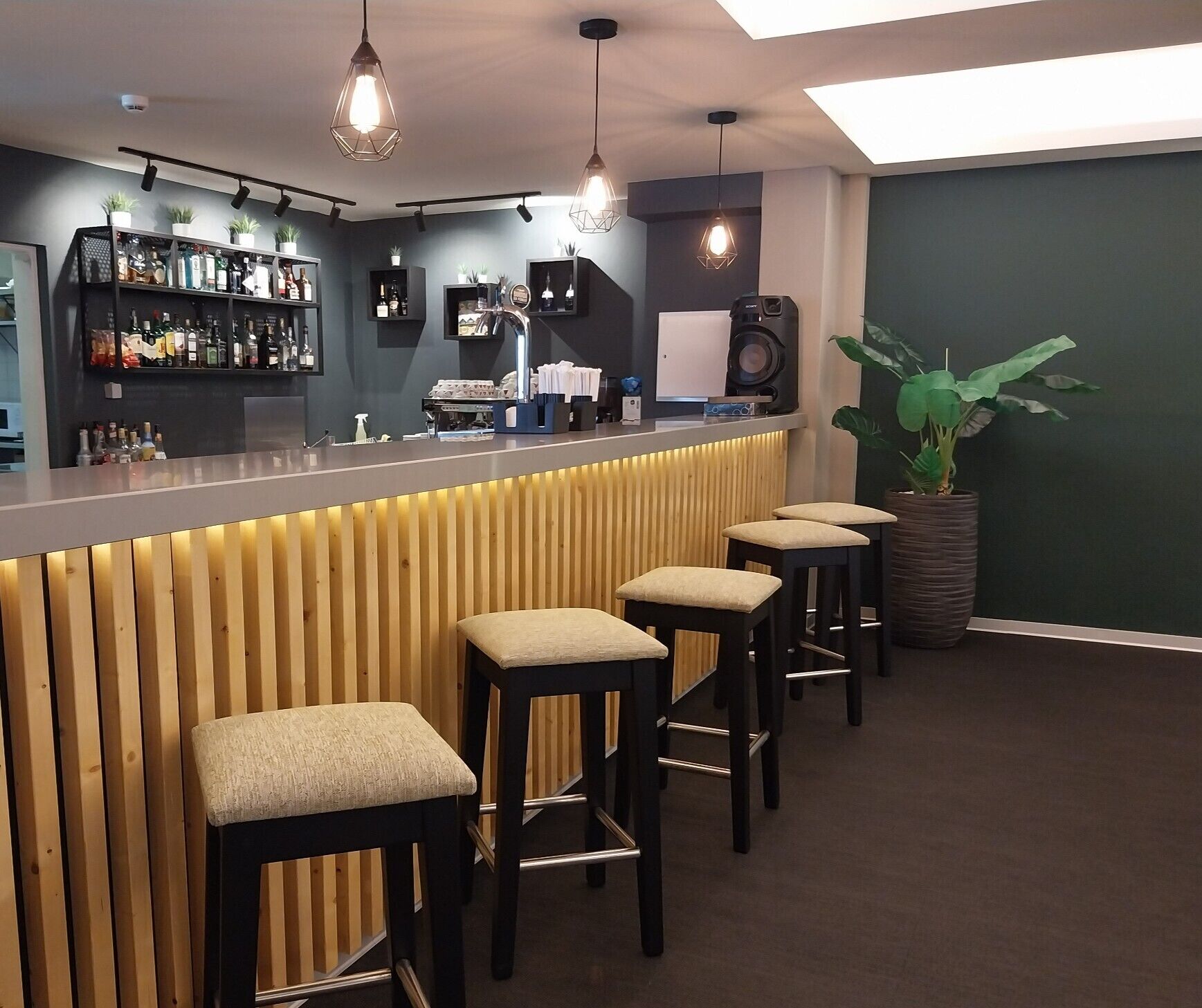 Un espace bar avec un comptoir en bois, des tabourets de bar et une grande plante en pot.