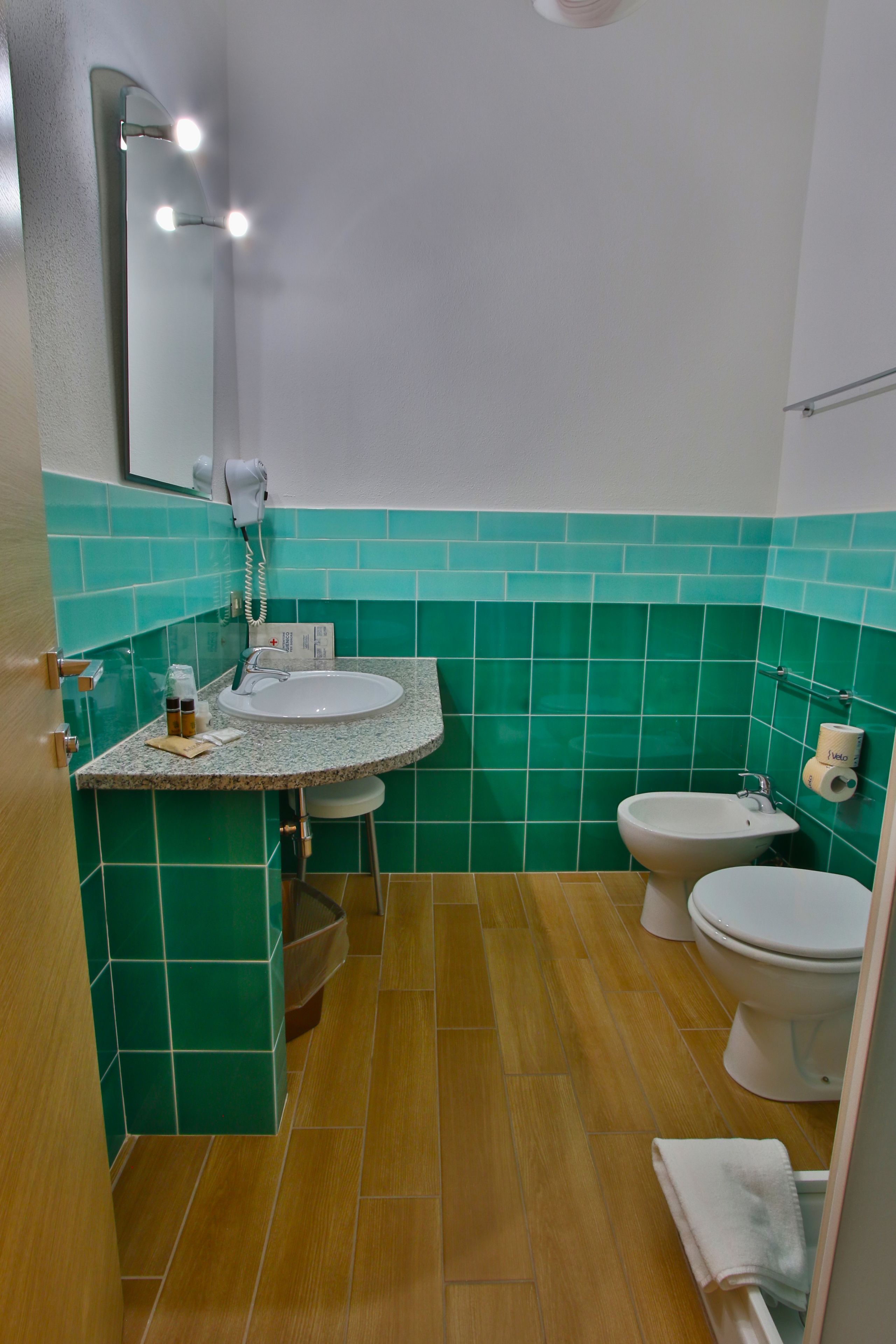 shower, hair dryer, bidet, towels