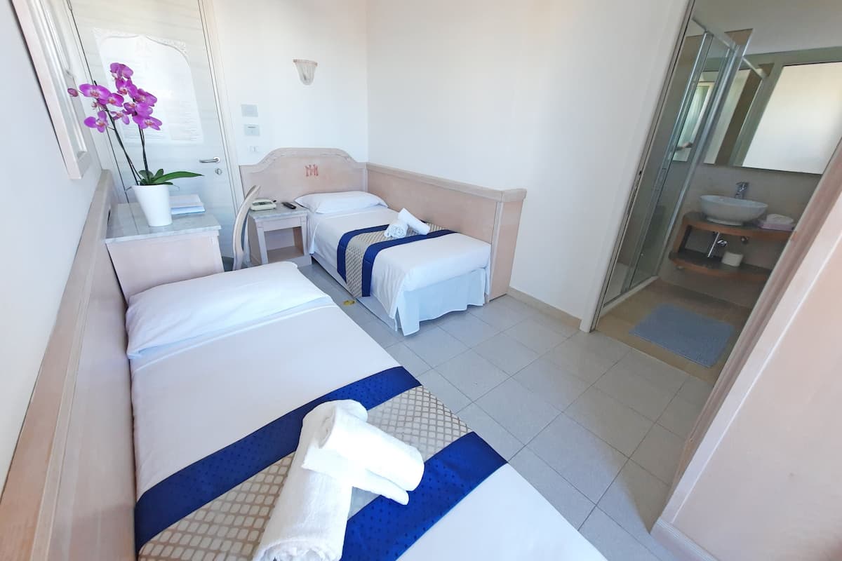 Une chambre d’hôtel avec deux lits, un petit bureau, un miroir, une plante en pot et une salle de bain visible à travers une porte ouverte.