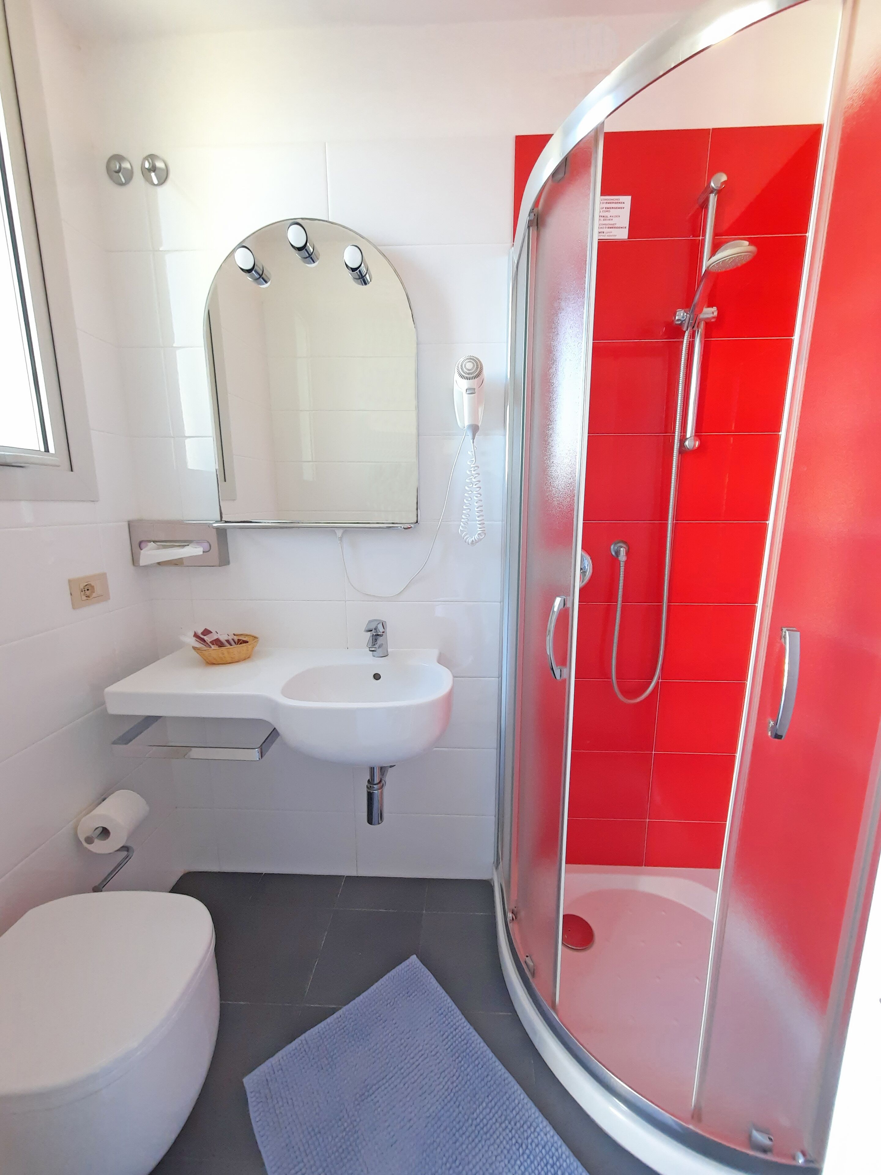 free toiletries, hair dryer, bidet, towels