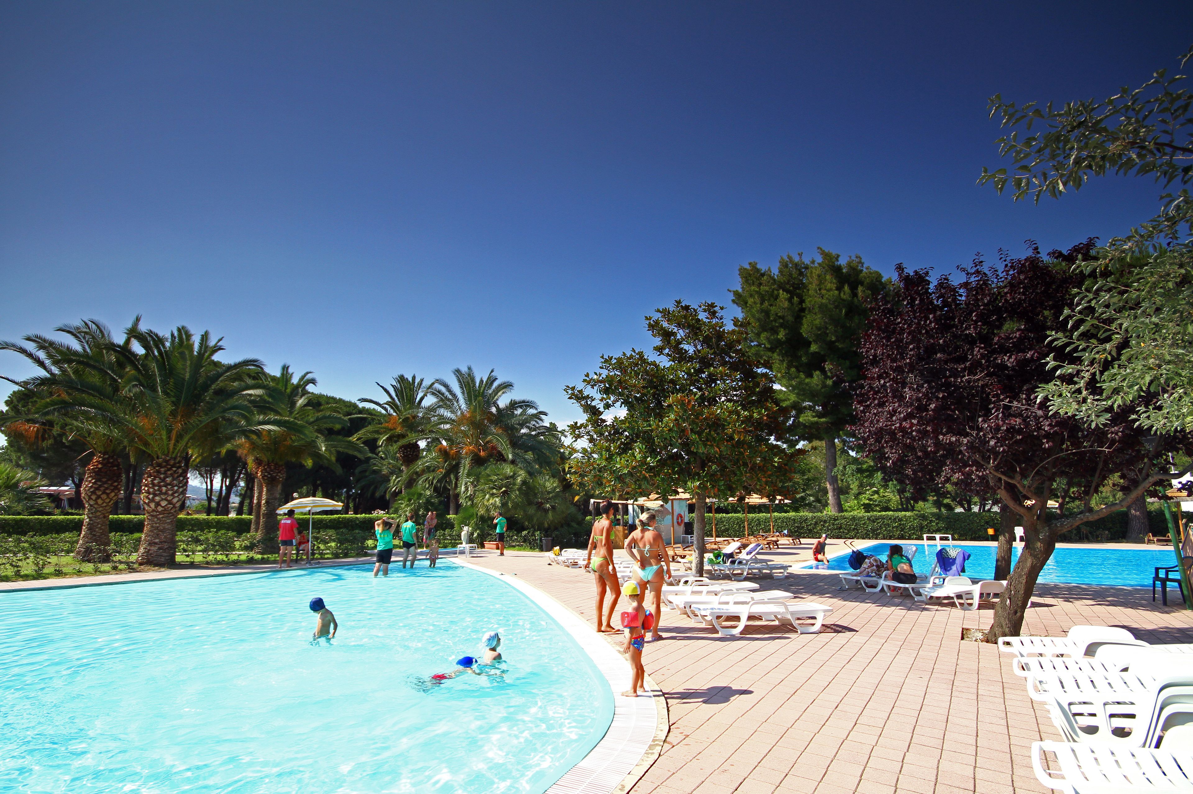 A swimming pool area with lounge chairs and palm trees.