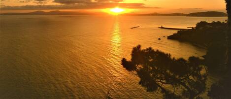 A sunset over a calm sea with distant landforms and a tree silhouette on the right.