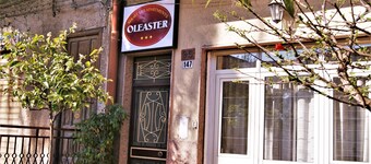 Bed & Breakfast Oleaster