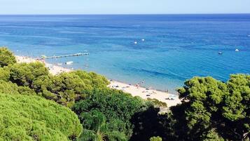 Une plage à l’eau d’un bleu cristallin, une jetée et de grands arbres aux feuillages verdoyants.