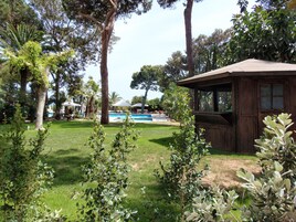 Single Room, Garden View | View from room
