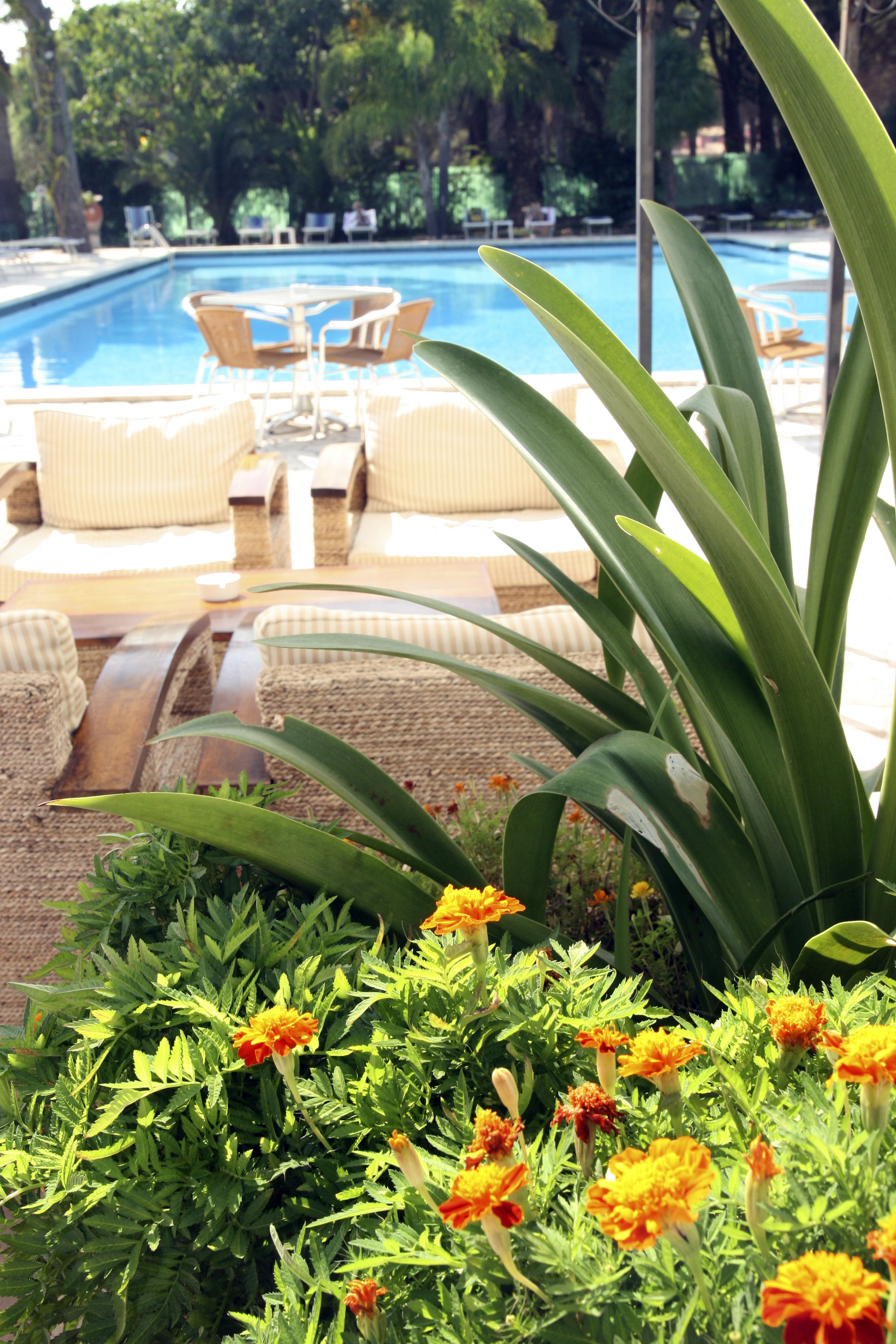 A pool area with lounge chairs and a table, surrounded by greenery and flowers.
