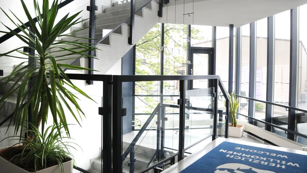 Un interior moderno con una escalera, ventanas amplias y plantas en macetas.