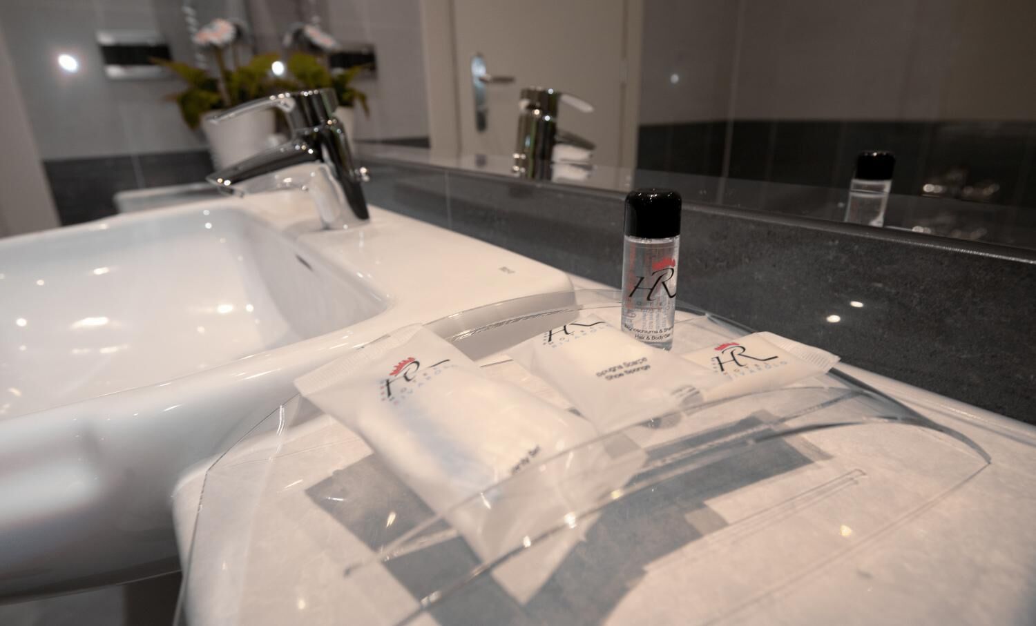 free toiletries, hair dryer, slippers, bidet