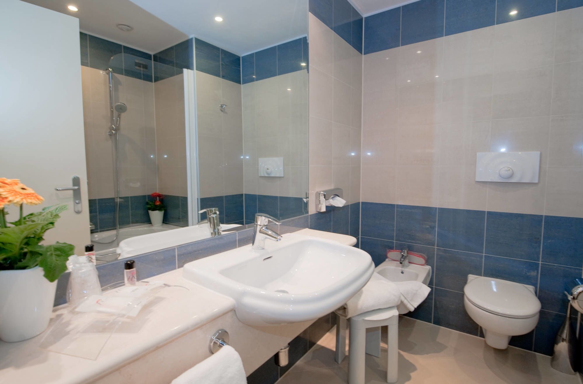 free toiletries, hair dryer, slippers, bidet