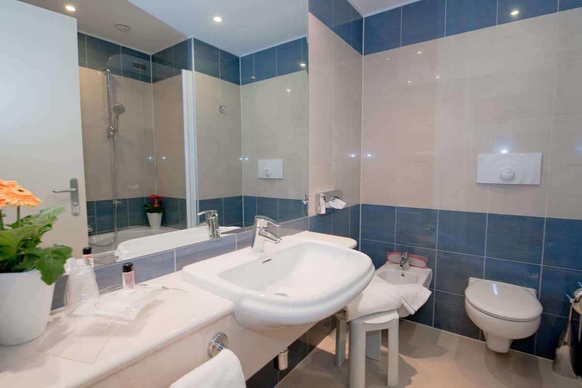 free toiletries, hair dryer, slippers, bidet