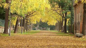 A pathway lined with trees and benches in a park setting.
