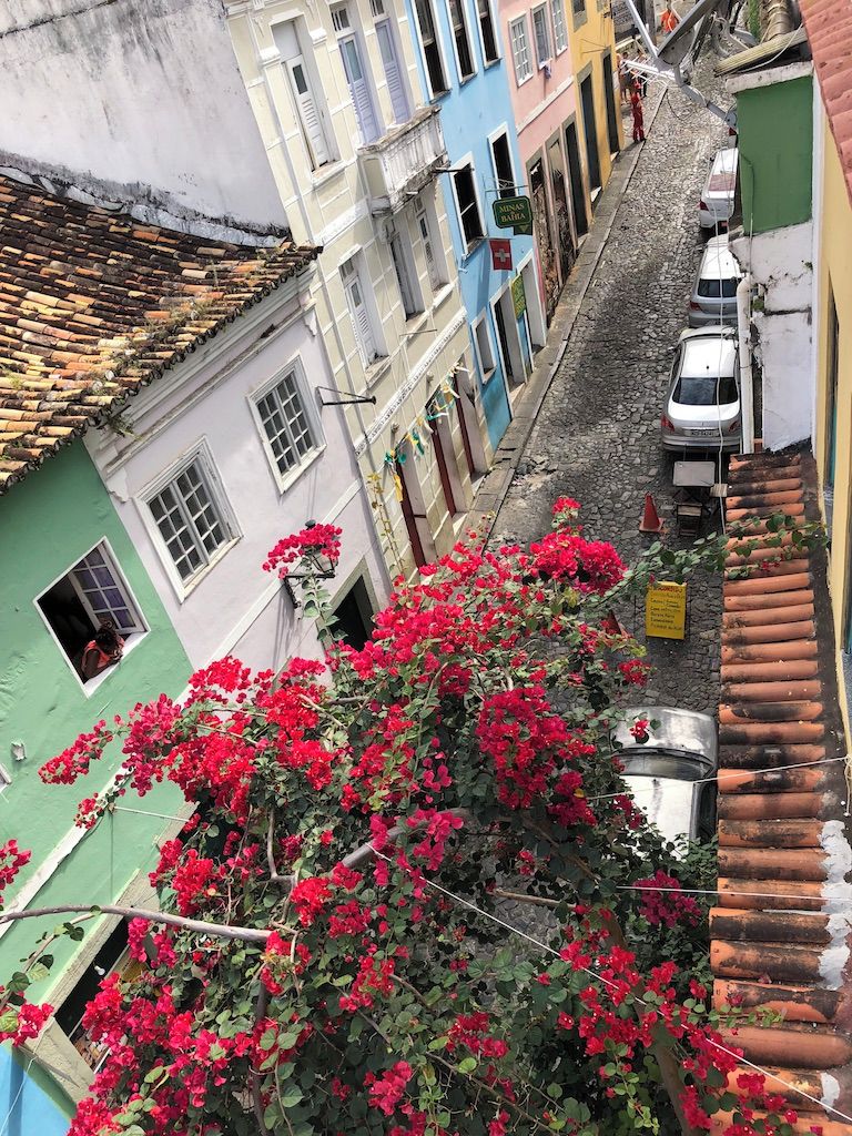 Una calle estrecha flanqueada por edificios, un árbol con flores rojas al frente y un coche estacionado a la derecha.