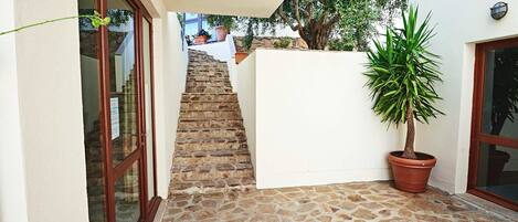 A stone-floored corridor with a staircase leading to a door, a potted plant, and a white wall.
