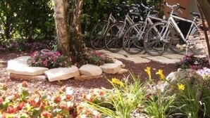Un jardín con un camino de piedra, diversas plantas y bicicletas estacionadas al fondo.